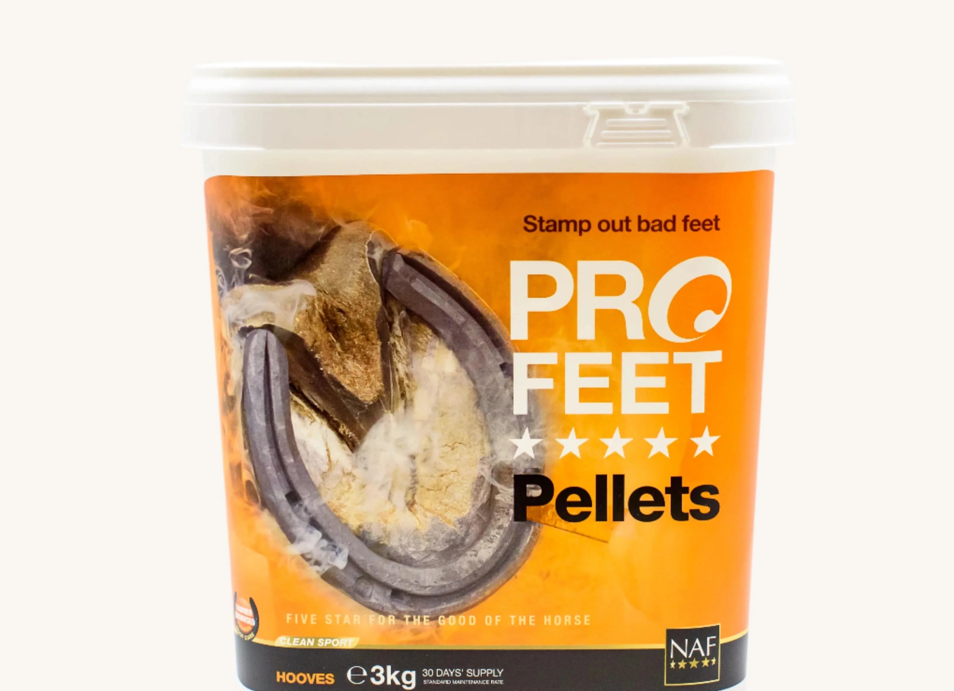 Profeet Profeet